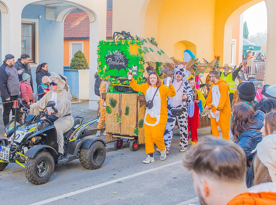 Die schönsten Fotos vom Allersberger Faschingszug 2025 gibt es hier! (Teil 1)