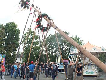Der schlanke, aber hohe Baum machte den Kerwasburschen beim Aufstellen viel Arbeit. Foto: Manfred Welker
