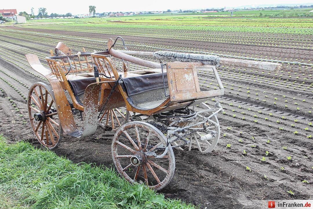 Pferdegespann in Nürnberg geht durch – Vier Verletzte