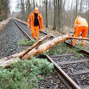 Stürmischer Samstag: Randtief „Eckhart“ hat auch in Mittelfranken Sturmböen im Gepäck - Gerüst teilweise eingestürzt - Umgestürzter Baum blockiert Zugstrecke