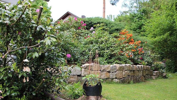 Eindrücke aus dem Garten von Susi Vorndran. Foto: Benedikt Borst