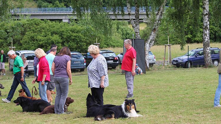 Die Hunde zeigten, dass sie auf das Kommando hörten, indem sie Platz nahmen...