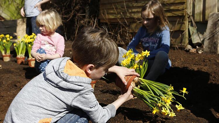 Blumen pflanzen mit den Garten- und Blumenfreunden Katschenreuth-Frankenberg Foto: Matthias Hoch