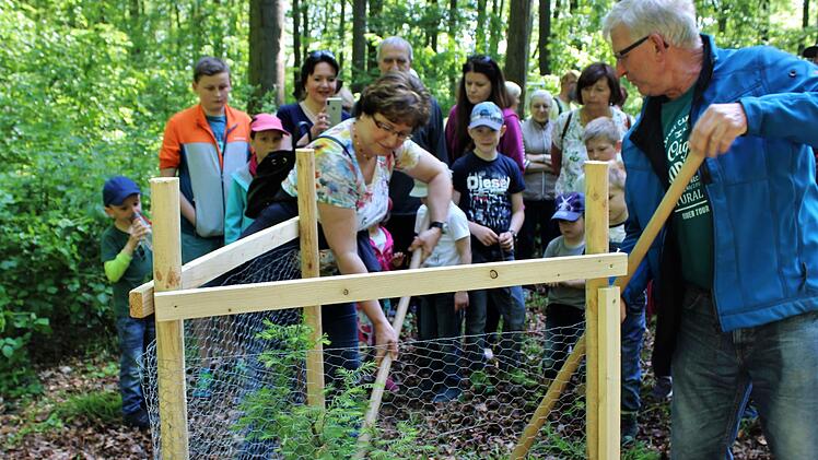 Bürgermeisterin Patricia Schießer und Bernd Neubig pflanzen den Urwelt Mammutbaum. Foto: Werner Vogel