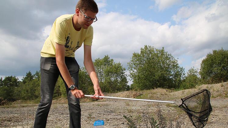 Mit einem Netz fängt Matthias Franz die Heuschrecken ein. Foto: H. Beudert