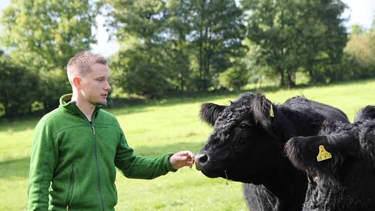 Lucian Beck hat sich einen Kindheitstraum erfüllt: Neben seinem Vollzeitjob als Entwicklungsingenieur hält er mehrere Galloways. Foto: Ulrike Müller
