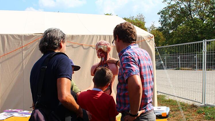 Anatomielehrstunde im Freien. Foto: Julia Heimberger