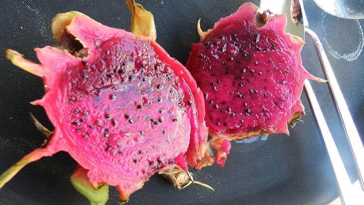 Nicht nur bei den Touristen ist die süße Drachenfrucht (Pitahaya) sehr beliebt. Sie ist eine kleine Vitaminbombe.