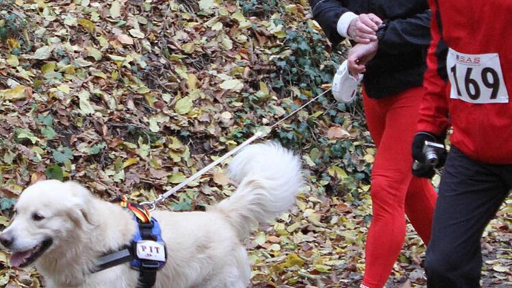 Mensch und Tier fühlten sich wohl beim Zeiler Waldmarathon