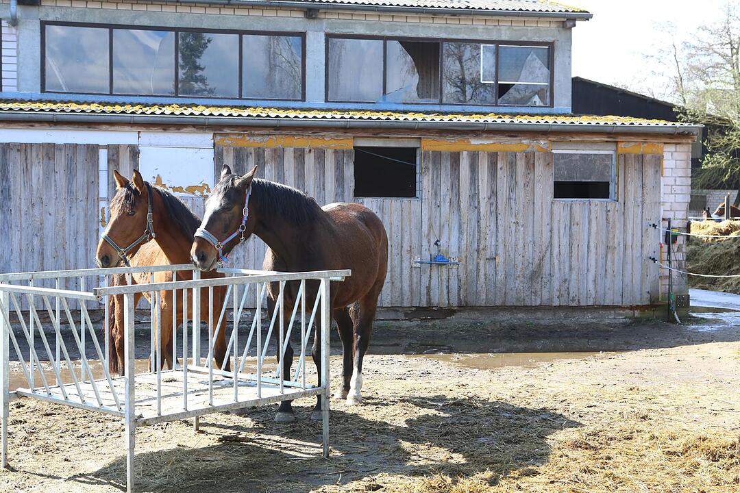 SoS Hausen im Landkreis Forchheim; Foto: Barbara Herbst