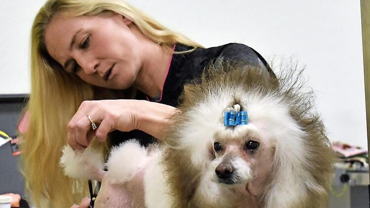 In Deutschland kriegen Hundehalter zu wenig für ihre Steuern, meint Sew Jörgensen, die in Ebermannstadt fünf Hunde hält und einen Hundesalon betreibt. Foto: p