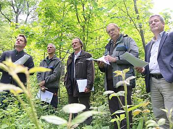 Einen positiven Eindruck hatten (v. l.) Matthias Wallrapp (Julius-Betriebsleiter), Wolfgang Kuhlmann (Staatsforst), Walter Herberth (Oberpflegeamtsdirektor Juliusstift) und die Forstdirektoren Christoph Kirchner (Karlstadt) und Wilhelm Schmalen (Bad Neustadt). Foto: Gerd Schaar