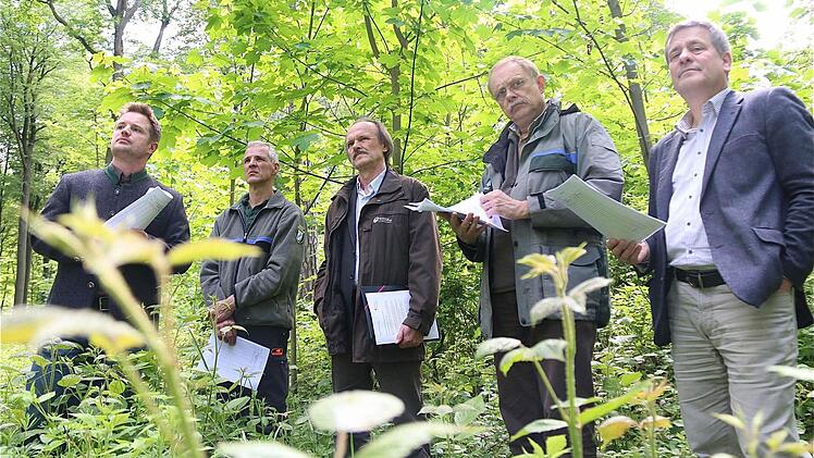Einen positiven Eindruck hatten (v. l.) Matthias Wallrapp (Julius-Betriebsleiter), Wolfgang Kuhlmann (Staatsforst), Walter Herberth (Oberpflegeamtsdirektor Juliusstift) und die Forstdirektoren Christoph Kirchner (Karlstadt) und Wilhelm Schmalen (Bad Neustadt). Foto: Gerd Schaar