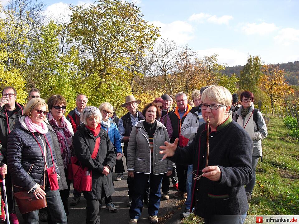 ABO Plus Bus-Wander-Tour Handthal_29.10.2016