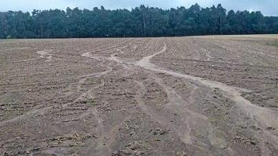 Erodierter Boden belegt, dass hier kein Humusaufbau vorhanden ist.