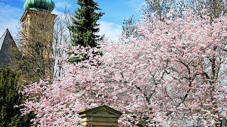 Kappellenfriedhof Bad Kissingen