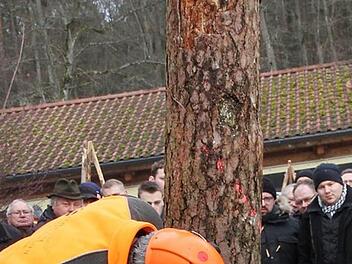 Martin Thoma von der Sozialversicherung für Landwirtschaft, Forsten und Gartenbau zeigte gemeinsam mit Forstwirtschaftsmeister Lothar Fischer (an der Säge) die Gefahren beim Fällen von Totholz.  Foto: Erlwein