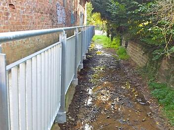 Der Brandbach in Neunkirchen ist nur noch ein Rinnsal. Den Fischen steht das Wasser bis zum Hals. Fotos: Martin Rehm