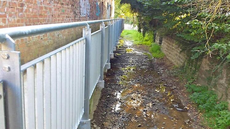 Der Brandbach in Neunkirchen ist nur noch ein Rinnsal. Den Fischen steht das Wasser bis zum Hals. Fotos: Martin Rehm