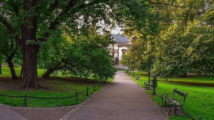 Erlangen: Westausgang des Bergkirchweihgel&auml;ndes wird umgestaltet - B&auml;ume sollen erhalten bleiben