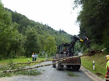 Maschinell werden die beiden Birkenstämme mit dem Greifer aufgenommen und seitlich gelagert. Foto: Klaus-Peter Wulf