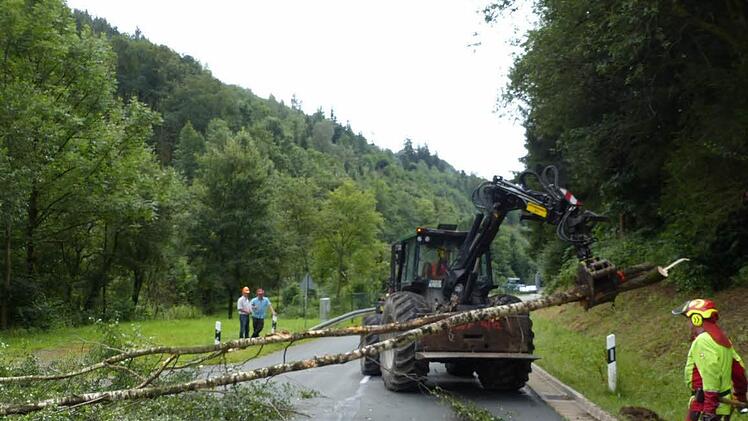 Maschinell werden die beiden Birkenstämme mit dem Greifer aufgenommen und seitlich gelagert. Foto: Klaus-Peter Wulf