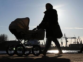 Hirschaid: Mann (45) greift in Kinderwagen  und flüchtet - Diensthund stoppt ihn