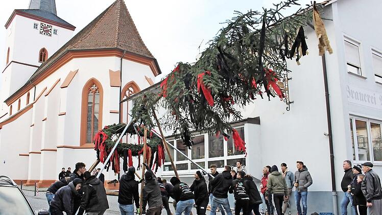 Der Baum wurde vor dem Aufstellen noch einmal gekürzt. Foto: Seeger