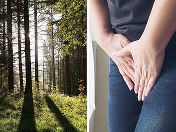 Großes Geschäft im Wald erledigen: Ist das überhaupt erlaubt?