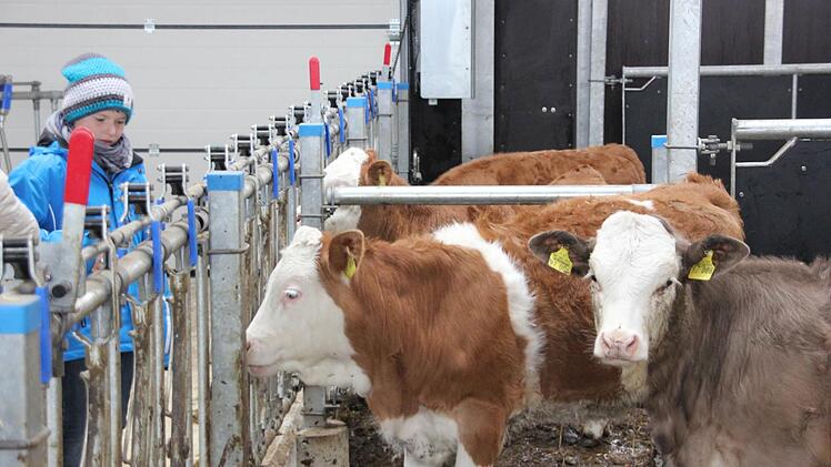 Zu Gast im neuen Stall in Effelter. Foto: Marco Meißner