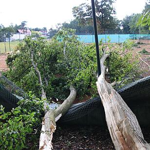 Massive Schäden nach Sturm in Bamberg