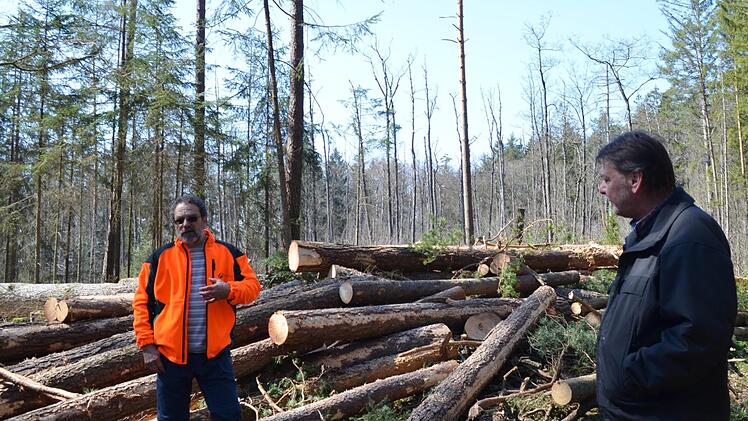 Wolfgang Göbel (l.) und Johannes Marabini freuen sich, das Naturschutzgebiet durch einen Moorweiher ergänzen zu können, auch wenn dafür etliche Bäume gefällt werden mussten.   Foto: Larissa Händel