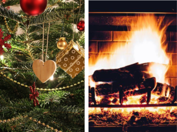 Christbaum verschüren - ist das eigentlich erlaubt?