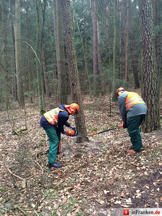 Kettensägenlehrgang bei Feuerwehr Steinbach