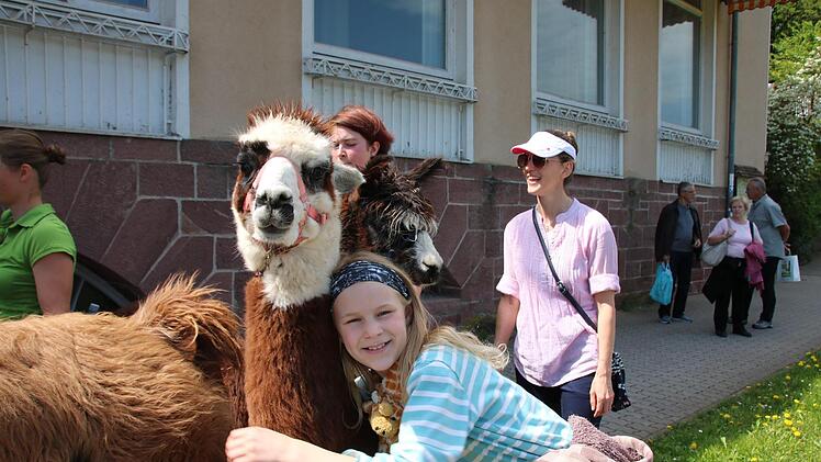 Am Sonntag gab es Alpaka-Führungen in der Au. Foto: Ralf Ruppert