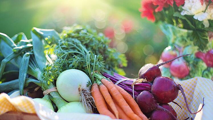 Aktualisierte Ratschläge der DGE legen den Fokus auf eine pflanzenbetonte, umweltschonende Ernährung.