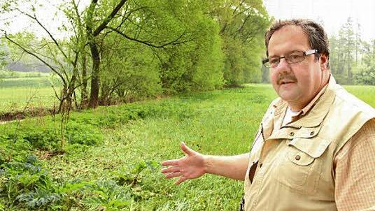 Oberhalb des Neuenseer Weihers fließt der Biberbach schnurgerade an der Wiese entlang. Manfred Rauh würde ihn gerne wieder in Schleifen fließen sehen.