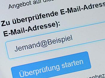Auf der Seite des BSI können Nutzer überprüfen lassen, ob ihre E-Mail-Adresse betroffen ist. Foto: Marius Becker/dpa