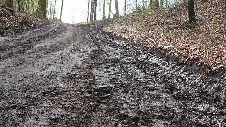 Die gröbsten Schäden hat der Bauhof beseitigt. Manchem Wanderer reicht das noch nicht. Foto: Ulrike Müller