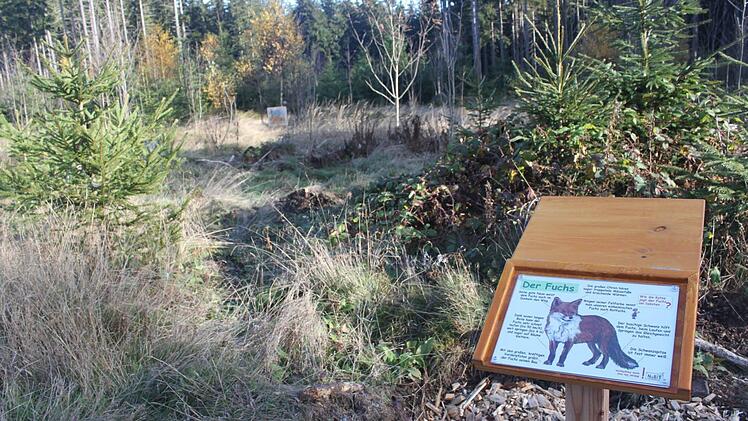 Impression von der Eröffnung des Wald- und Naturerlebnispfads. Foto: Veronika Schadeck