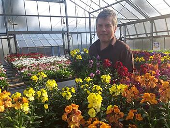 Das Gewächshaus von Karl Dechant ist voll mit frischen Blumen und Pflanzen doch leider muss die Gärtnerei geschlossen bleiben.  Die Gärtner machen sich Sorgen, ob sie die Ware rechtzeitig verkaufen können. Bild: Gärtnerei & Floristik Dechant