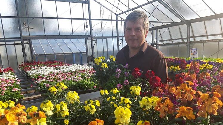 Das Gewächshaus von Karl Dechant ist voll mit frischen Blumen und Pflanzen doch leider muss die Gärtnerei geschlossen bleiben.  Die Gärtner machen sich Sorgen, ob sie die Ware rechtzeitig verkaufen können. Bild: Gärtnerei & Floristik Dechant