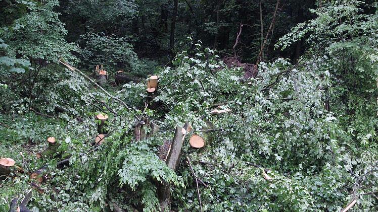 Bereits am Anfang der Woche (27. Mai) waren auf der Ortszufahrt nach Dippach kleinere Bäume auf die Straße gestürzt, die von Arbeitern bereits beseitigt worden waren.