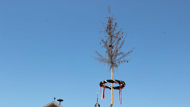 Kahl ragt der Maibaum in Maßbach in die Höhe. Er bleibt dennoch stehen, weil dort ein Vogel brütet.Heike Beudert