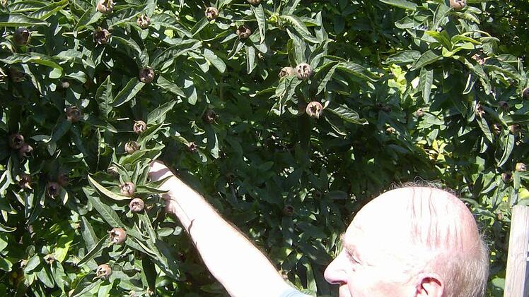 Im Garten der Familie Trautner in Gräfenberg. Foto: Petra Malbrich