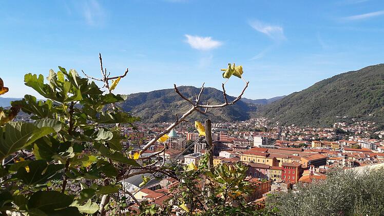 Blick auf Massa vom Weg zum Castello Malaspina.  Foto: Maren Schmitt