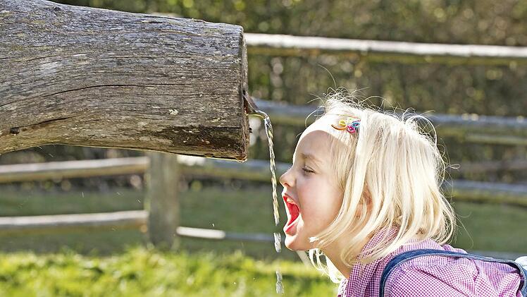 Natur hautnah erleben - das gefällt auch kleinen Wanderern in Mauterndorf.