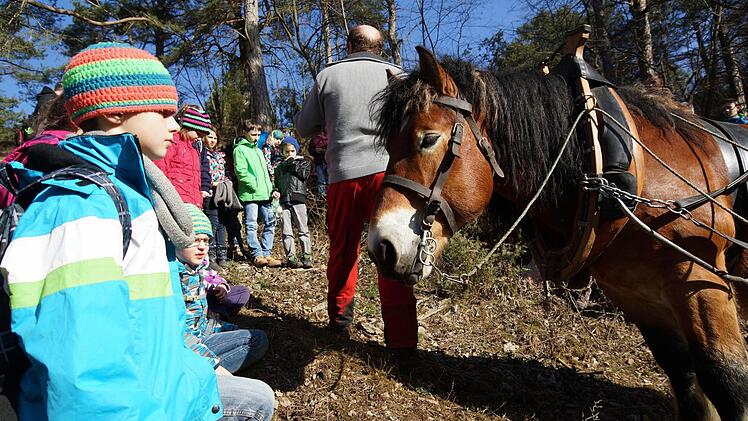 Schüler und Pferd beäugen sich neugierig.Foto: Arkadius Guzy