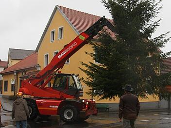 Mit Hilfe von Großgerät wurde in diesem Jahr der Weihnachtsbaum von Mitgliedern des Gartenbauvereins am Dorfplatz aufgestellt.  Foto: Matthias Nöth