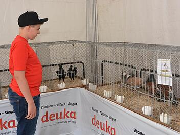 Marcel Nöth aus Brendlorenzen, selbst Mitglied bei den Kleintierzüchtern, passte während der Ausstellung auf die gezeigten Tiere auf. Foto: Björn Hein